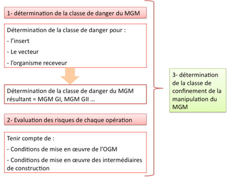 classification des MGM